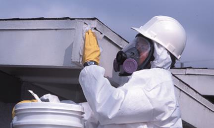 San Francisco Asbestos, Lead Abatement, Mold Remediation, Air Duct Cleaning, Bed Bugs Removal Services